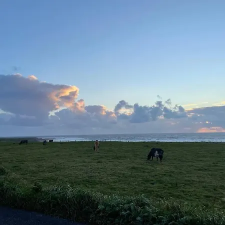 Modern 5 Bedroom House In Clare 度假居